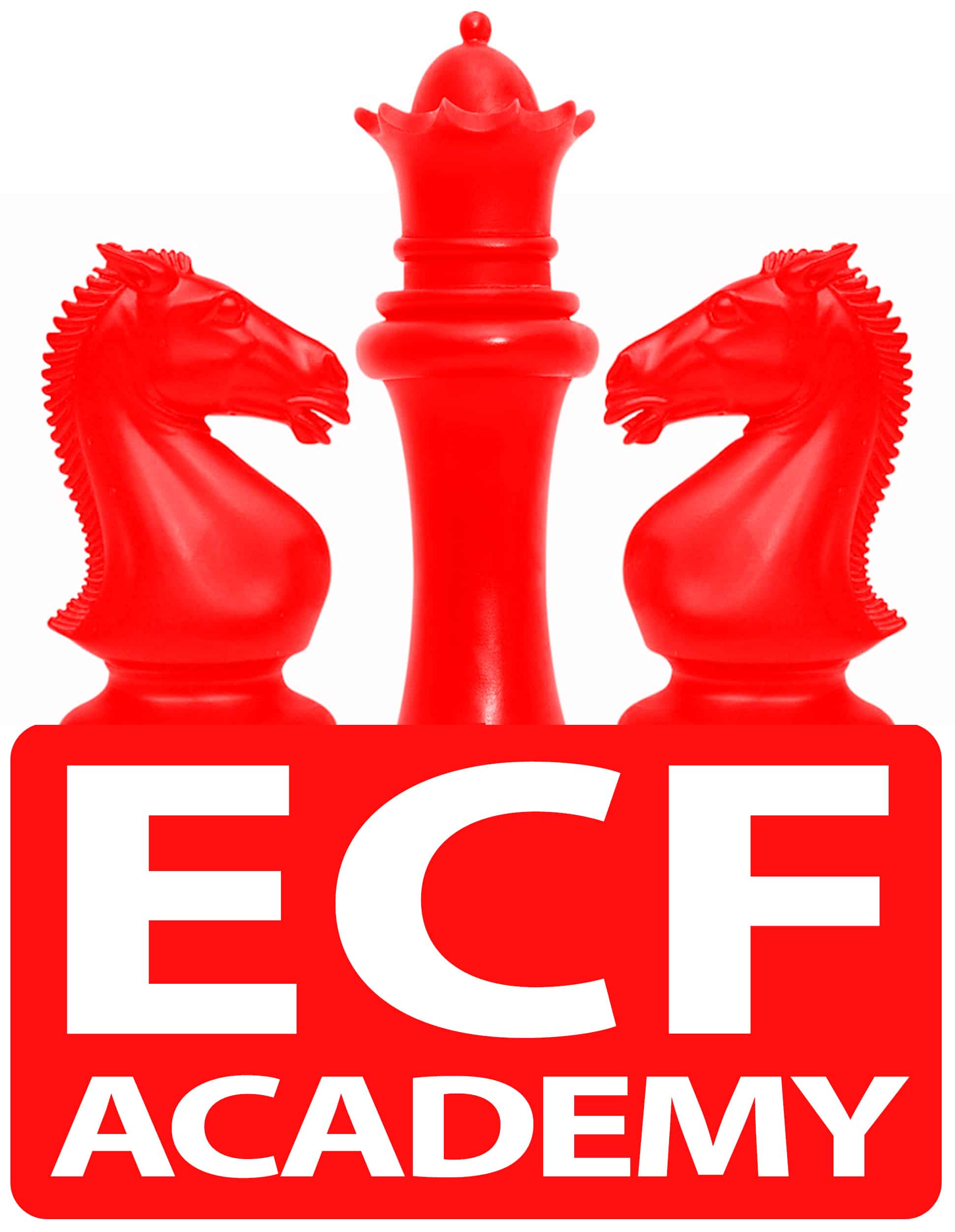 ECF Chess Academy Study Weekend 7th8th January Juniors