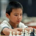 Harvey Zhang