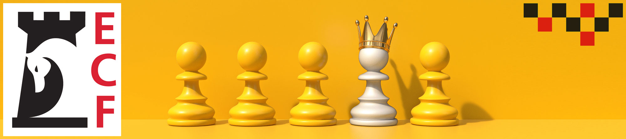 Chess Ratings and Chess Titles : The Chess Rating System Explained